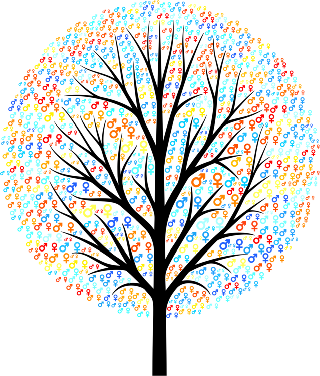 All Photo Png Clipart - Trees You Can Tap (639x749)