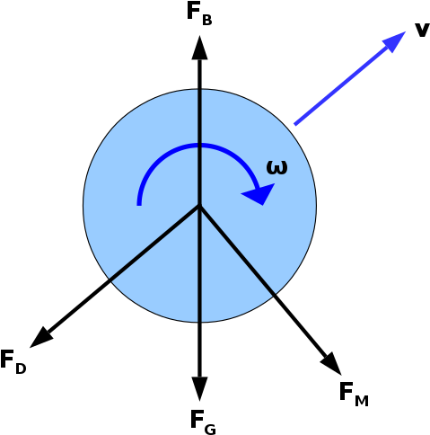 The Forces Acting On A Spinning Ball During Its Flight - Diagram (500x500)