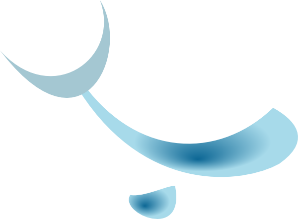 Dolphin Clip Art (600x441)