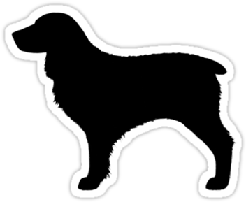 Boykin Spaniel Silhouette Waterproof Vinyl Sticker - Boykin Spaniel Silhouette (375x360)