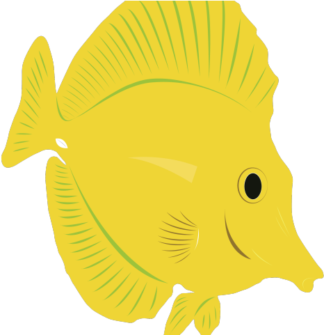 Marine Fish Clipart Yellow Tang - Pomacentridae (640x480)