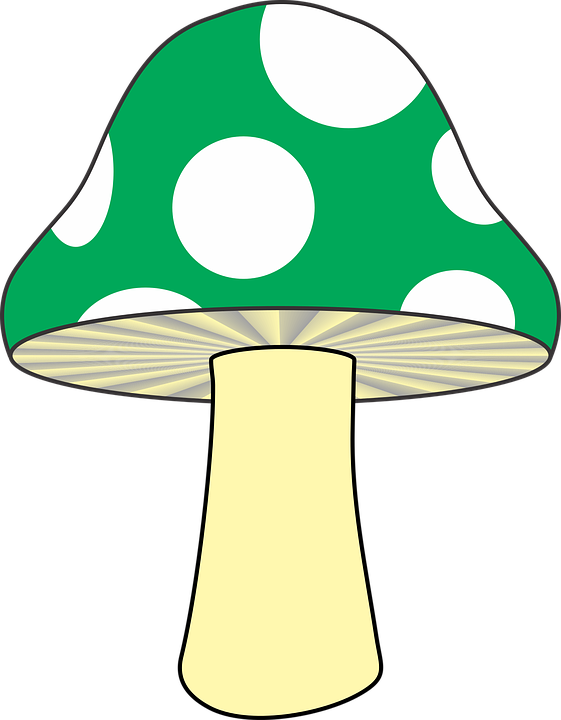 Mushroom Clipart Green Mushroom - Cartoon Green Mushroom (561x720)