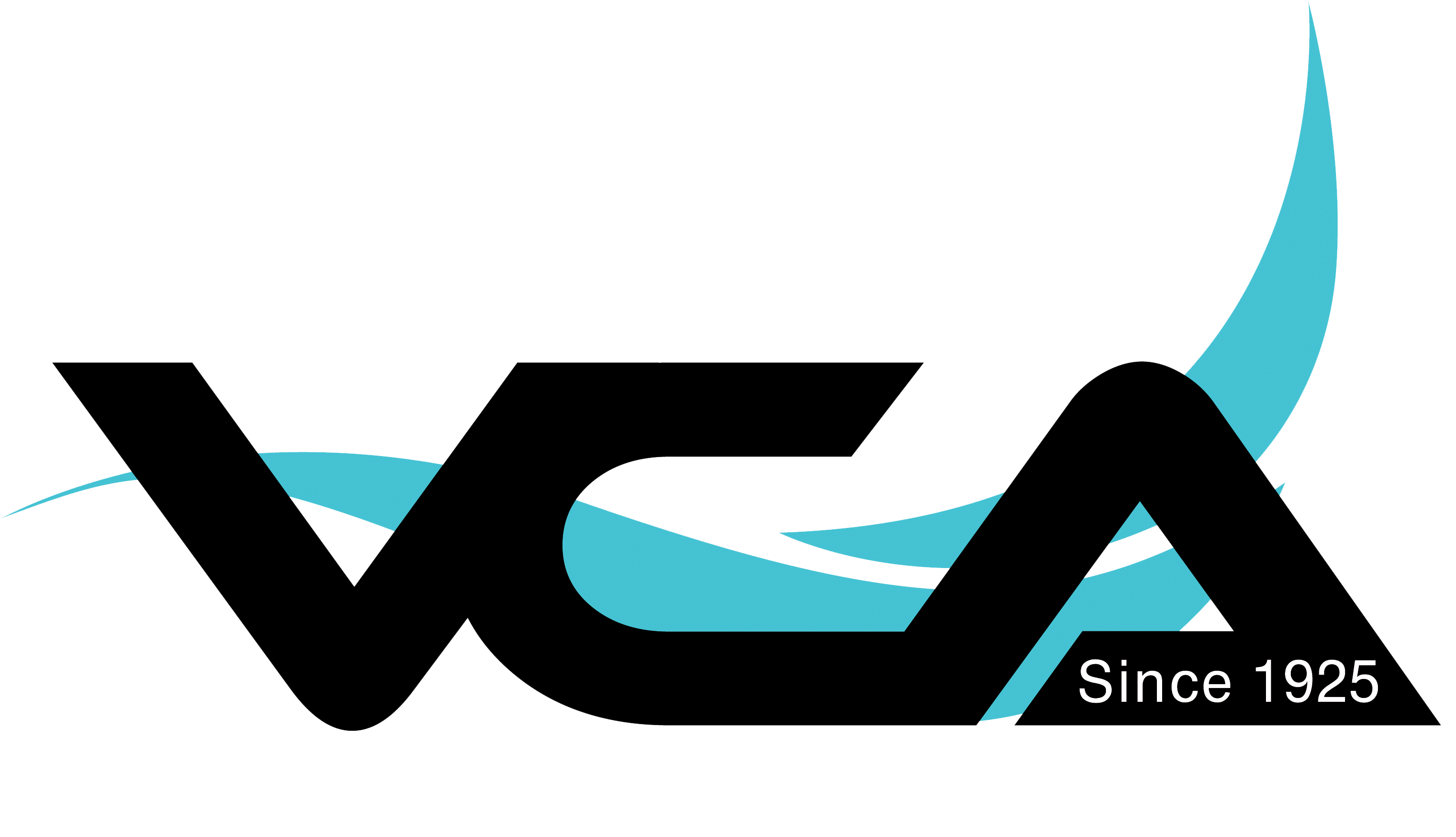 Logo Of The Virginia Chiropractic Association - Logo Vca (3300x1863)