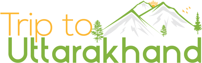 Trip To Uttarakhand - Adidas (700x250)