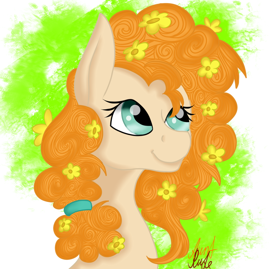 Auntrude, Buttercup, Earth Pony, Female, Flower, Flower - Cartoon (1024x1024)