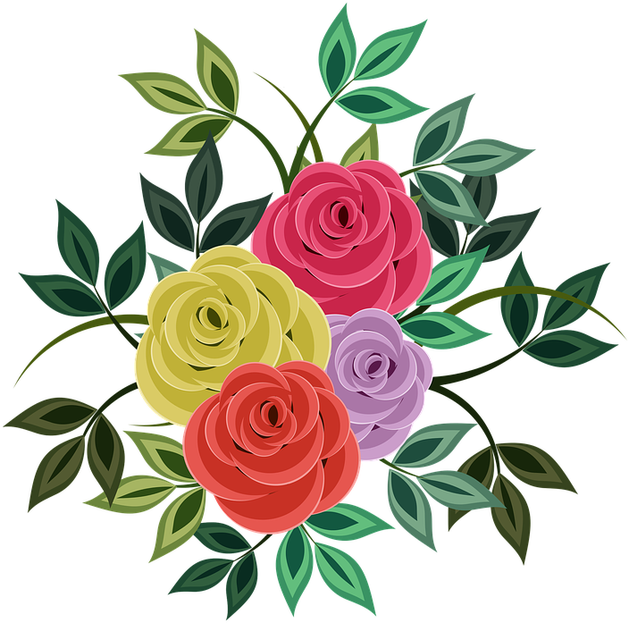 Roses, Flowers, Floral, Plants, Spring, Flowery - Rose (720x720)