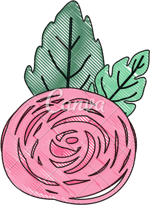 Bud Rose Flower With Leaves - Illustration (800x800)