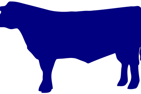 Interior Outline Image K Pictures Full Hq - Outline Of Beef Cows (450x300)
