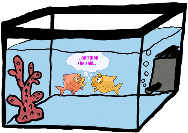 And Going Through Their Trash For The Sweet, Sweet - And Going Through Their Trash For The Sweet, Sweet (700x475)