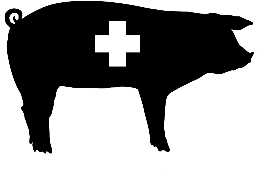 Animal Health Icon Silver Bullet Water Treatment Ⓒ - Pig Silhouette Vector (1000x800)