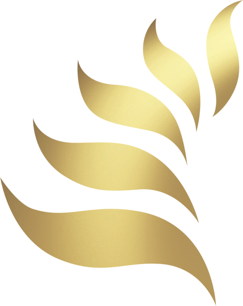 Fern Clipart Service Award - Illustration (500x629)