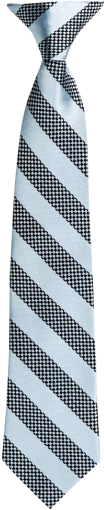 Png Image Information - Tie Png (500x536)