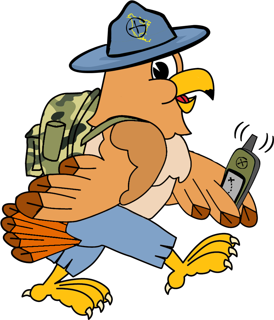 Hank The Hawk, Our Mascot, Was Born On January 2nd, - Eagle Cartoon (1000x1100)