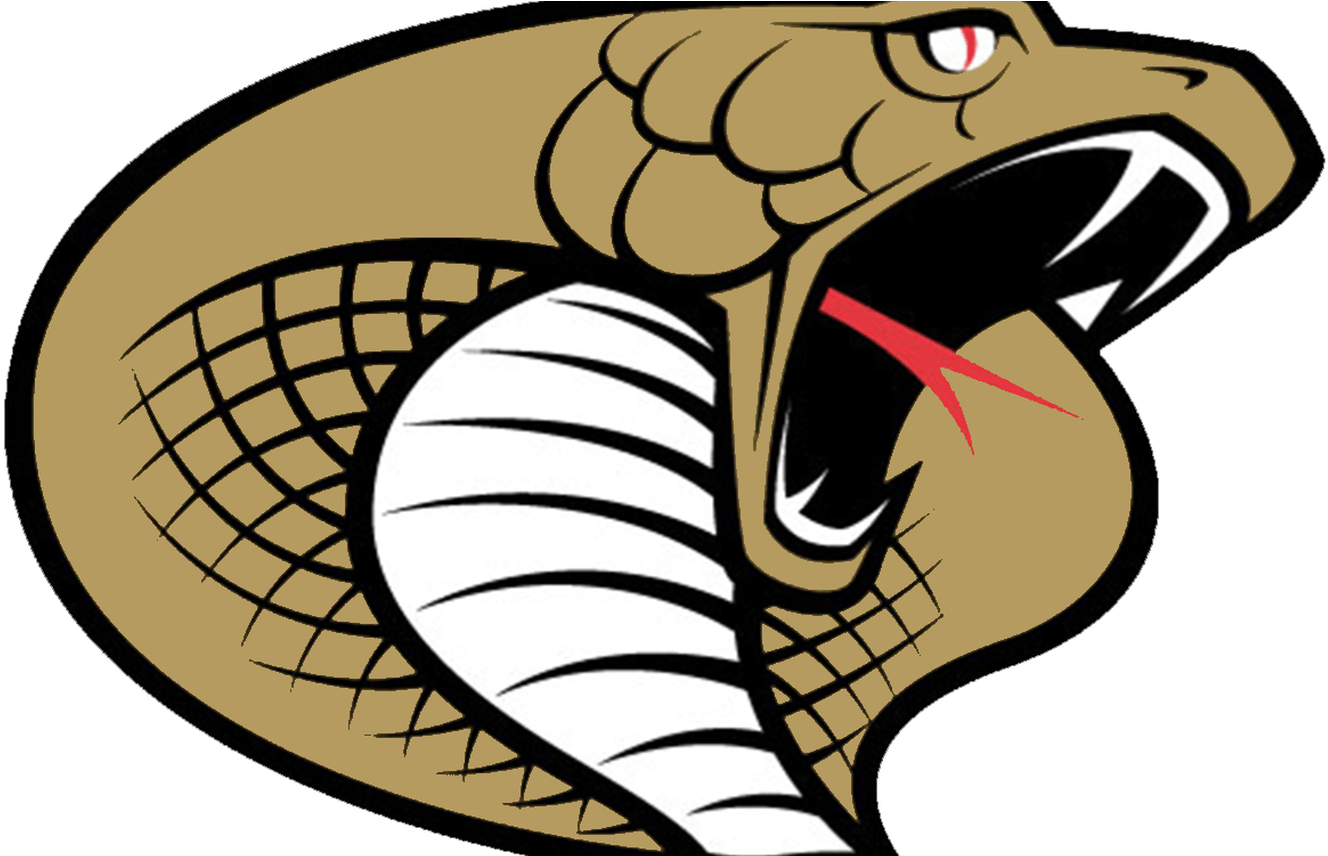 Immagini Cobra Clipart Best - Twiggs County High School Cobra (1368x855)