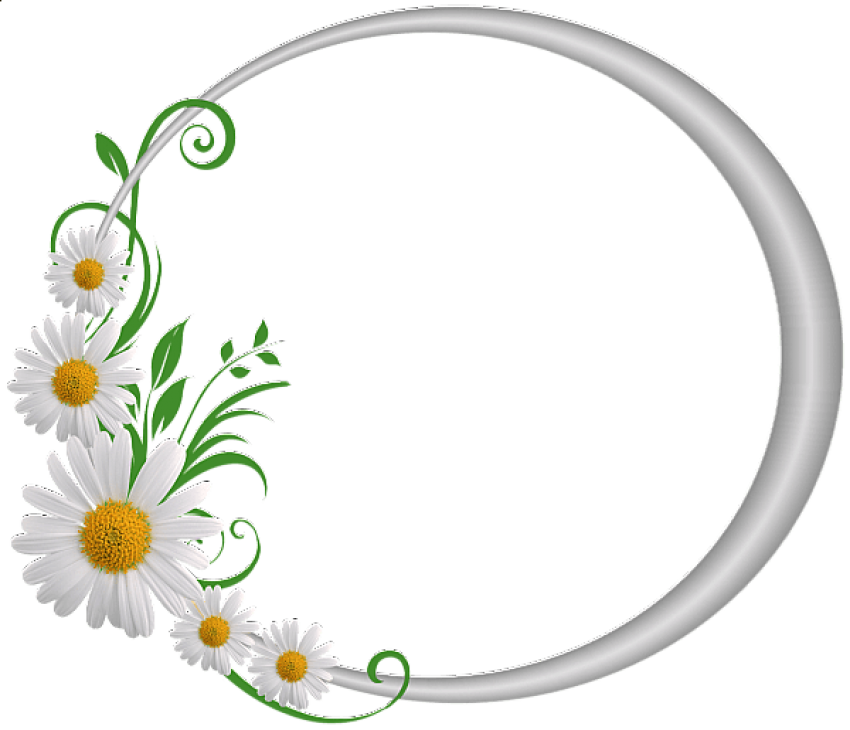 Free Png Best Stock Photos Silver Round Frame With - Circle Frames For Pictures Png (850x730)
