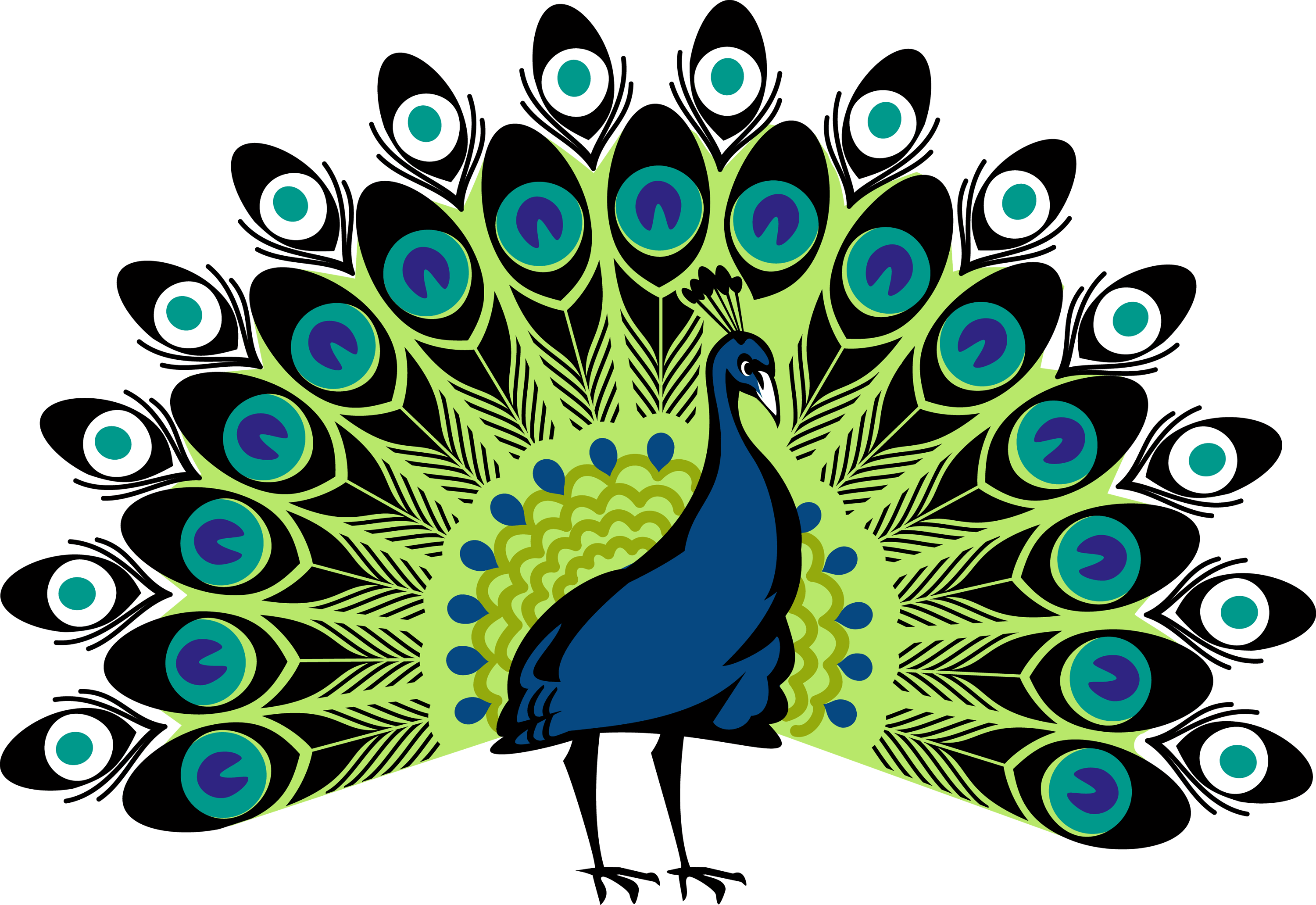 Peacock Image In Png (3000x2063)