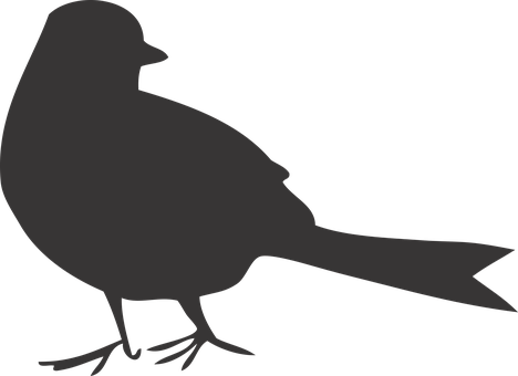 Bird, Shape, Black - Silhouette (468x340)