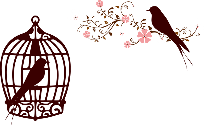 Love Bird Branch Best Colletion Birds Clipart - Bird In Cage Art Png (665x408)