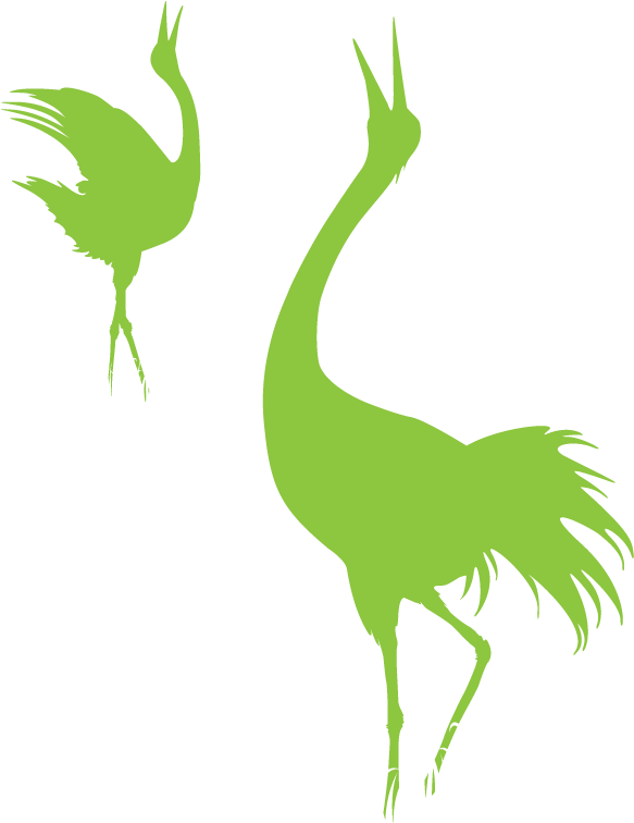 01-og - - Crane-like Bird (600x1000)