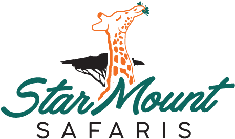 Skip To Content Starmount Safaris - Illustration (500x289)
