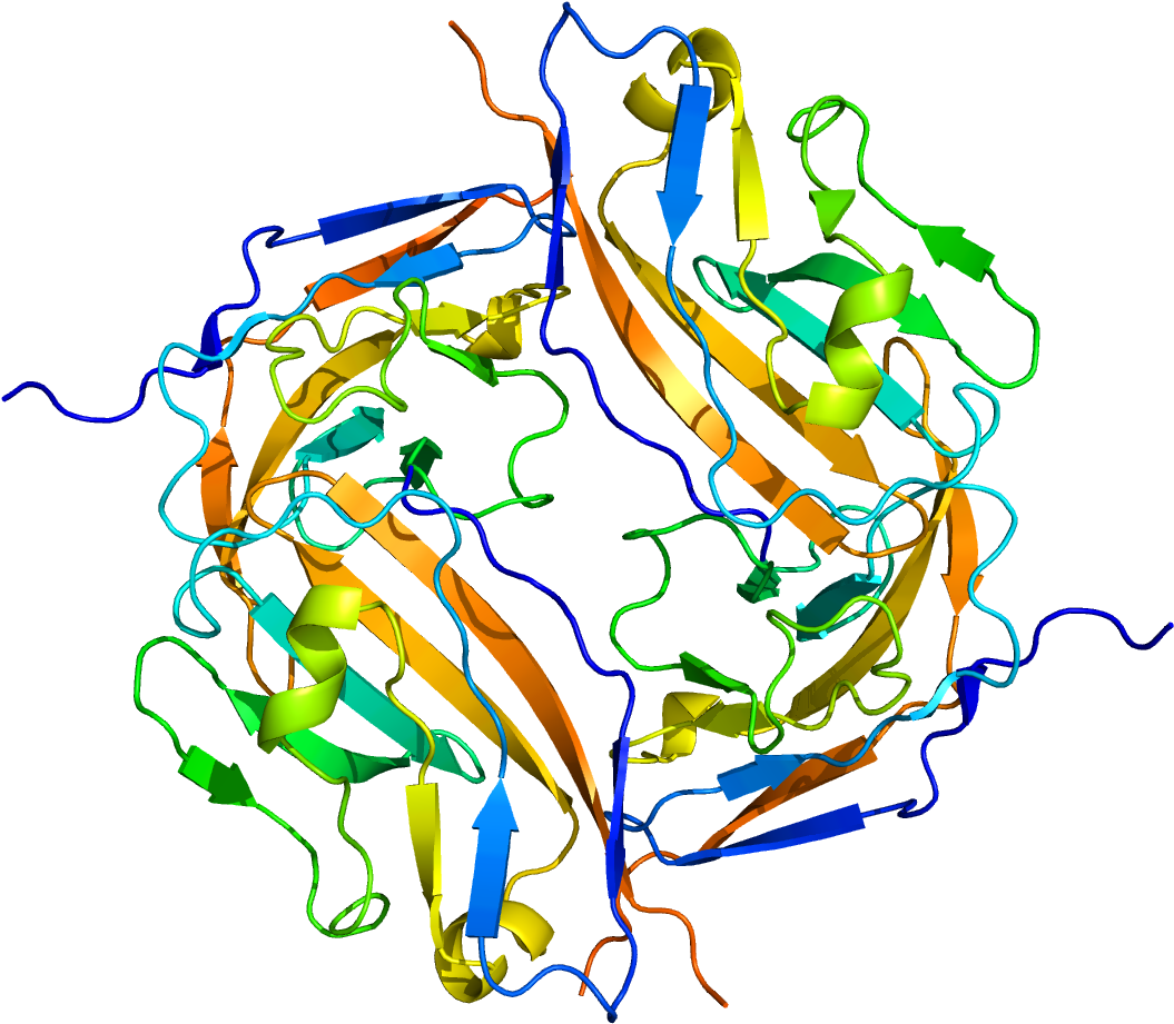 Cd47 Protein (1200x1000)