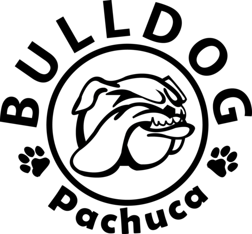 500 X 464 2 - Illustration (500x464)