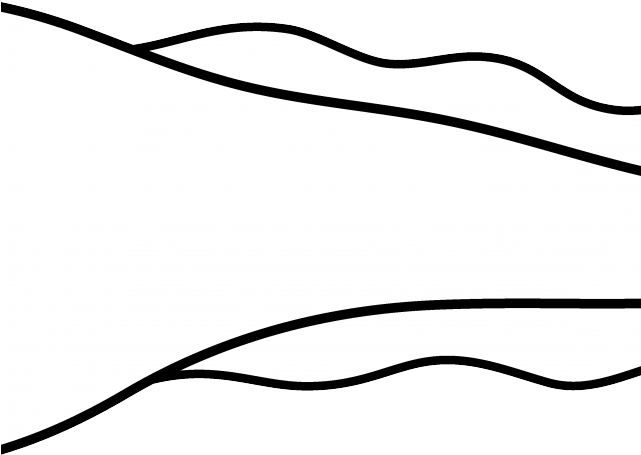 Tadpole Clipart Leg Drawing - Tadpole Clipart Leg Drawing (640x480)