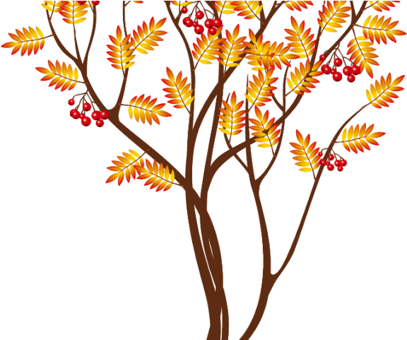 Blossom Clipart Cute Fall Tree - Осеннее Дерево Пнг (640x480)