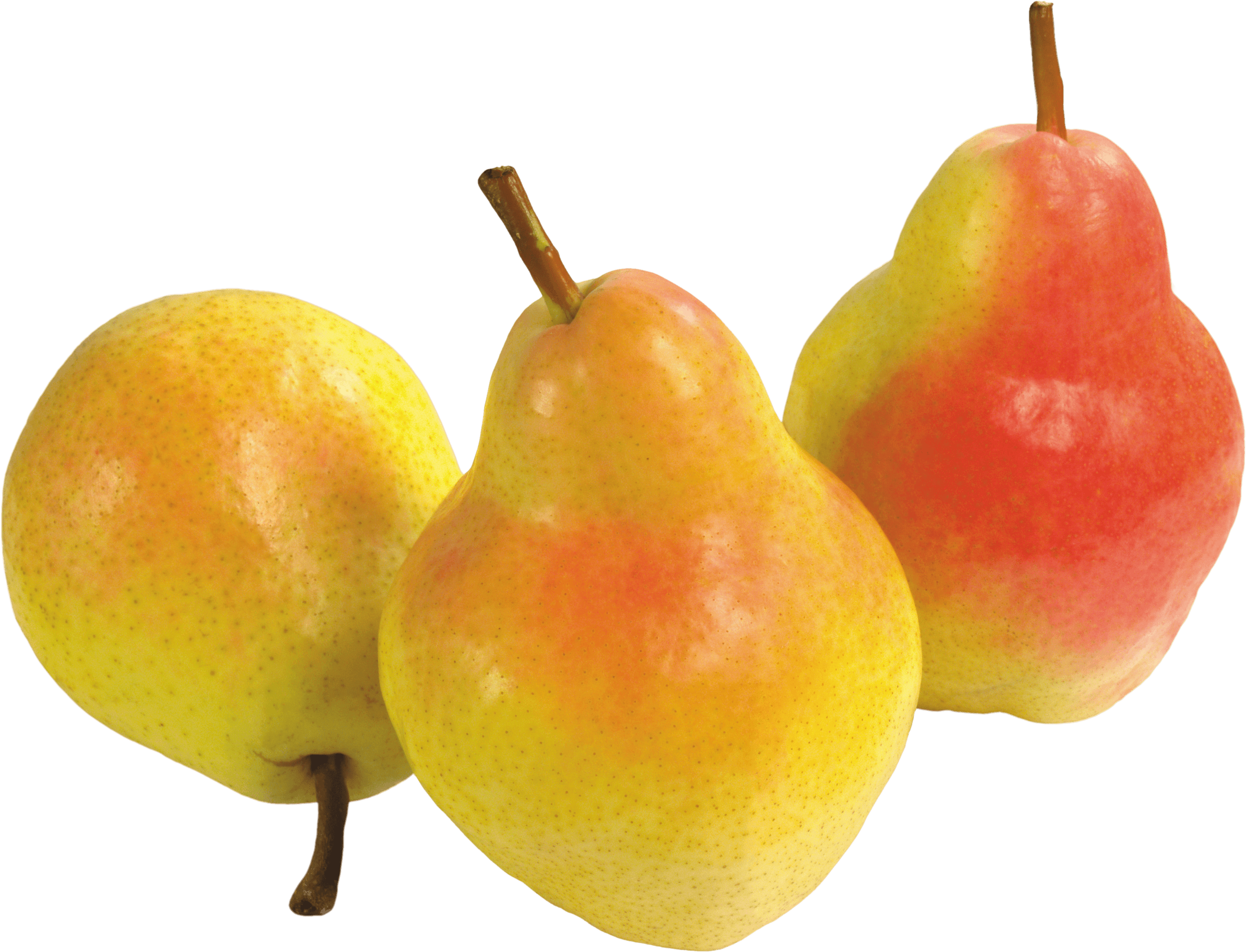 Pear Fruit Clip Art Transparent Background - Груши Png (3000x2291)