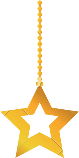 Gold Star Hanging To Mery Christmas Decoration - Star Icon Filled And Empty (800x800)