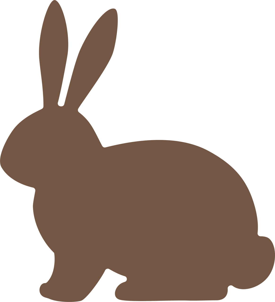1165 X 1280 7 - Domestic Rabbit (1165x1280)