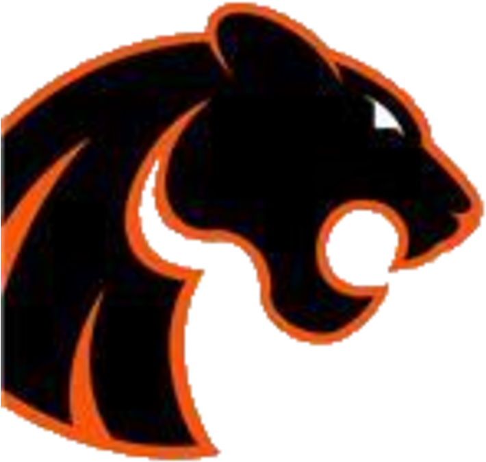 The Gardner South Wilmington Panthers Scorestream Gardnersouth - Black Cat (720x720)