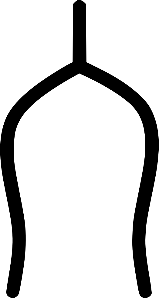 Wishbone Bone Turkey Superstition Tradition Comments - Wishbone Bone Turkey Superstition Tradition Comments (524x980)