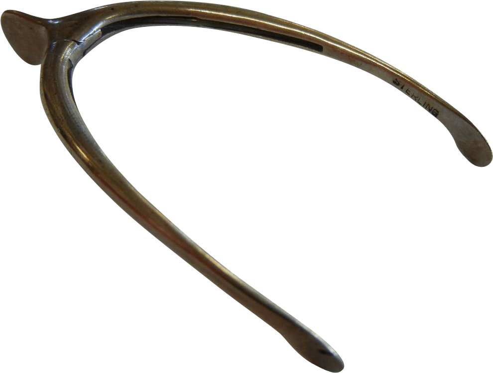 Download Sterling Wishbone Transparent Png - Wishbone Transparent Background (989x989)