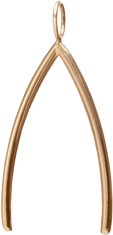 Download Wishbone Pendant Transparent Png - Pendant (800x800)