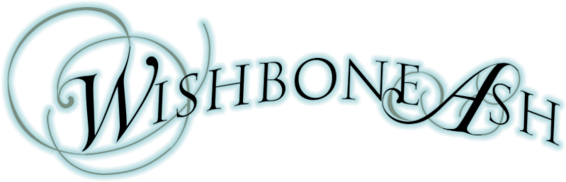 Wishbone Ash Image - Wishbone Ash Band Logo (800x310)