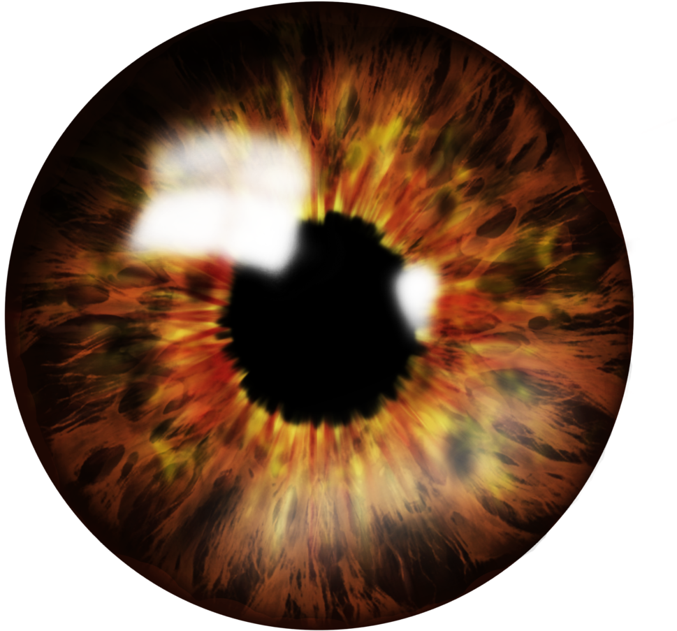 Brown Eyes Clipart Small Eye - Eye Lens Png (1024x1024)