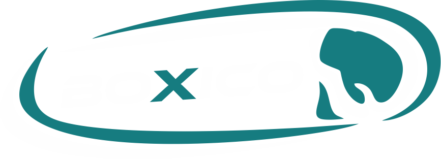 Boxico Sports Founded In 2011, We Are An Established - Boxico Sports Founded In 2011, We Are An Established (867x313)