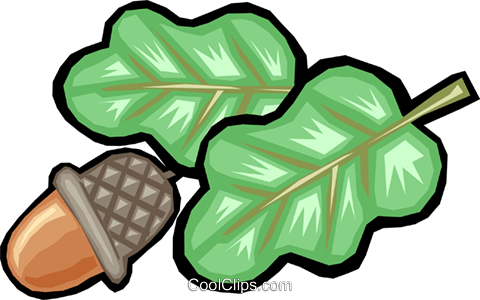 Acorn Nut Royalty Free Vector Clip Art Illustration - Acorn Nut Royalty Free Vector Clip Art Illustration (480x300)