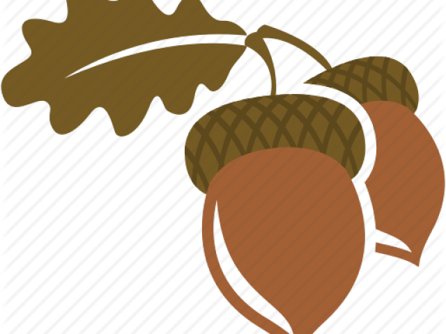 Nut Clipart Autumn Acorn - Illustration (640x480)
