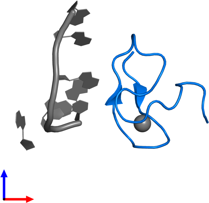 <div Class='caption-body'>pdb Entry 3g9y Contains 1 - <div Class='caption-body'>pdb Entry 3g9y Contains 1 (800x800)