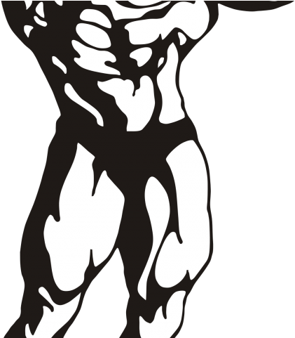 Fitness Clipart Arm - Bodybuilder Clipart Png (640x480)