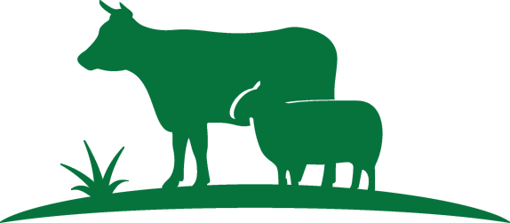 Commitment To Provide Quality Meat To Consumers Globally - Commitment To Provide Quality Meat To Consumers Globally (574x251)