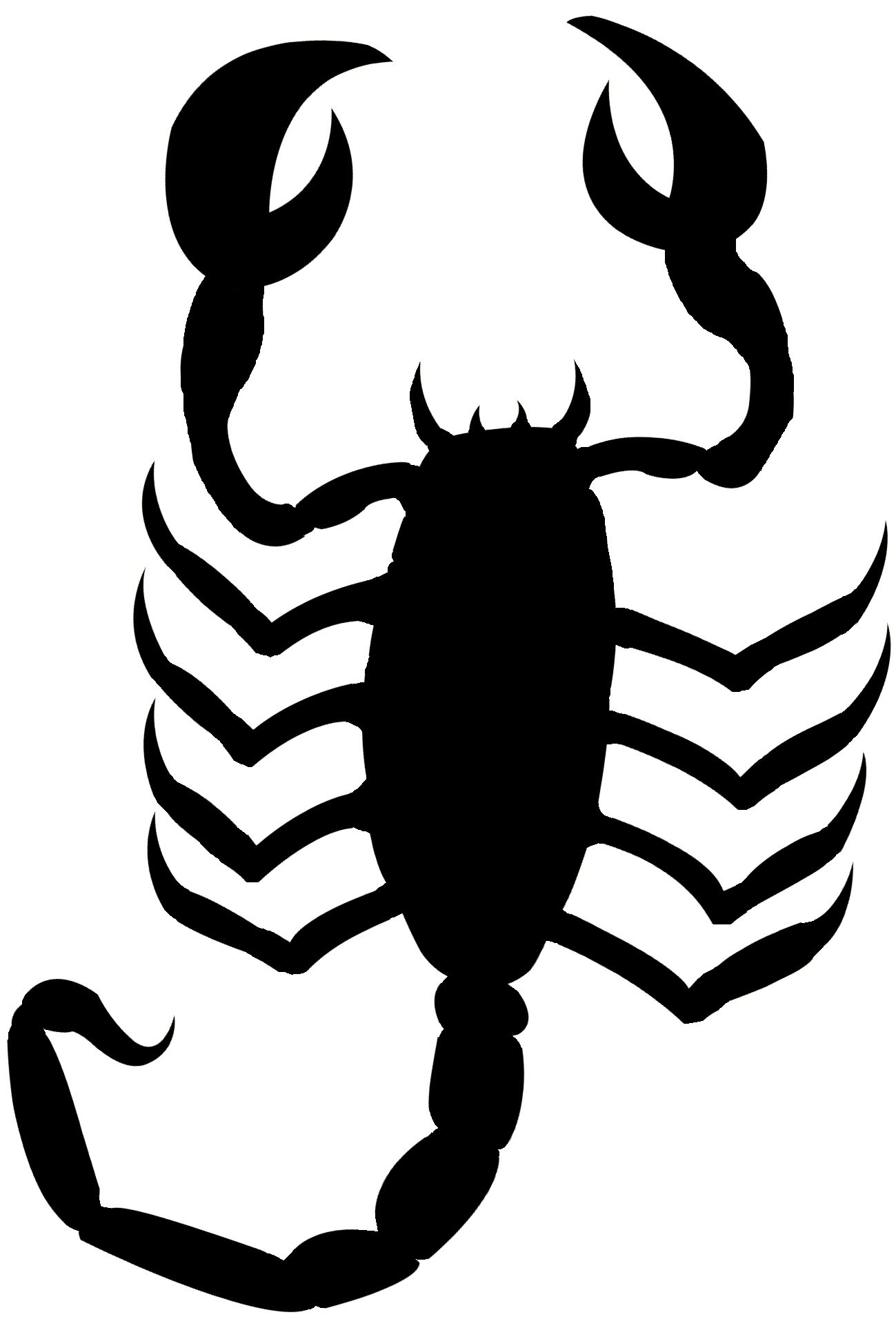 Scorpion Vector Free - Scorpion Black Png (1708x2300)
