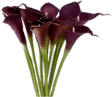 Calla Lily Bouquet Purple (400x400)