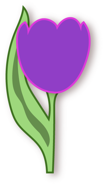 Purple Tulip - Tulipa Humilis (618x618)