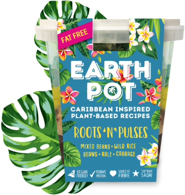 Roots 'n' Pulses - Roots 'n' Pulses (397x425)