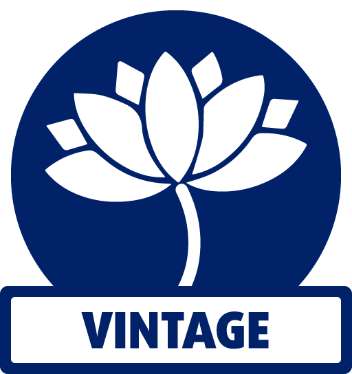 Rules Specific To Vintage - Rules Specific To Vintage (512x544)