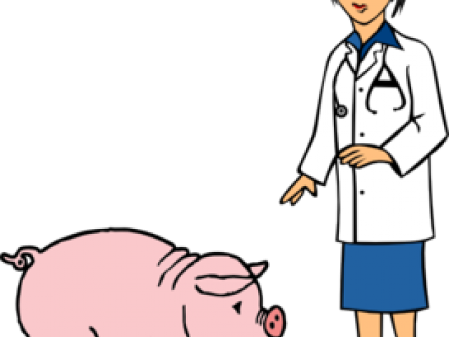 The Doctor Clipart Pig - Transparent Background Vet Clipart (640x480)