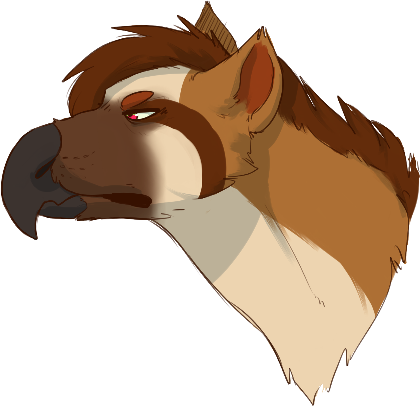 1426 X 1368 2 - Sorrel (1426x1368)